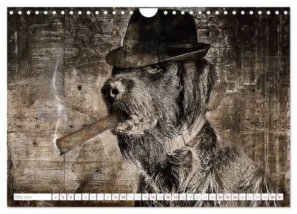 Produktbild: Hund tr&auml;gt Hut (Wandkalender 2026 DIN A4 quer), CALVENDO Monatskalender