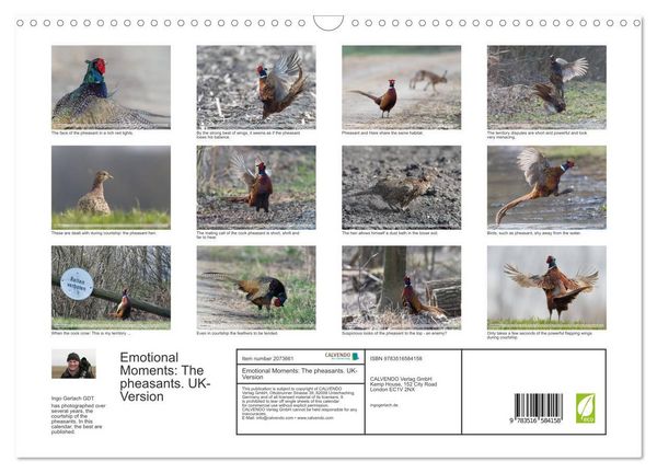 Produktbild: Emotional Moments: The pheasants. UK-Version (Wall Calendar 2026 DIN A3 landscape), CALVENDO 12 Month Wall Calendar