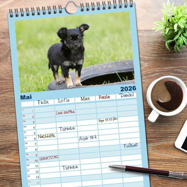 Produktbild: Familienplaner 2026 - Chihuahuas - kleine Herzensbrecher mit 5 Spalten (Wandkalender, 21 x 45 cm) CALVENDO