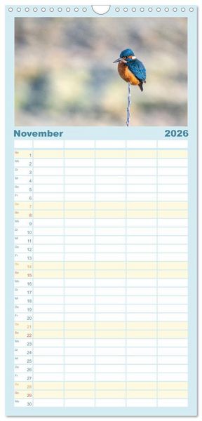 Produktbild: Familienplaner 2026 - Eisvogel im Portr&auml;t mit 5 Spalten (Wandkalender, 21 x 45 cm) CALVENDO