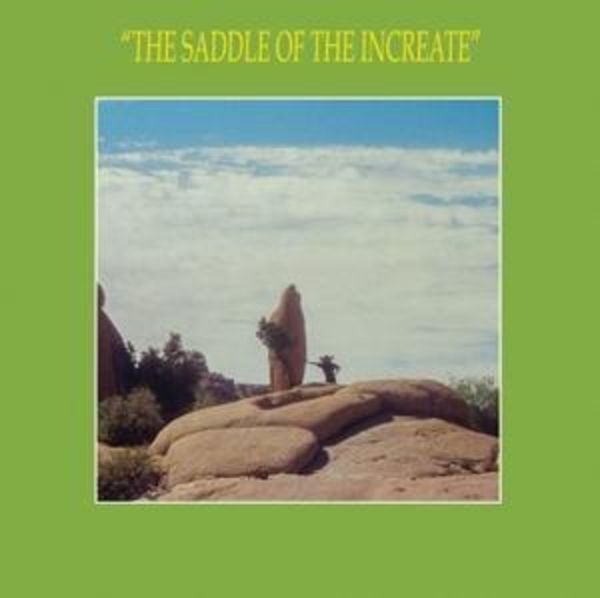 Saddle Of The Increate - Sun Araw, CD