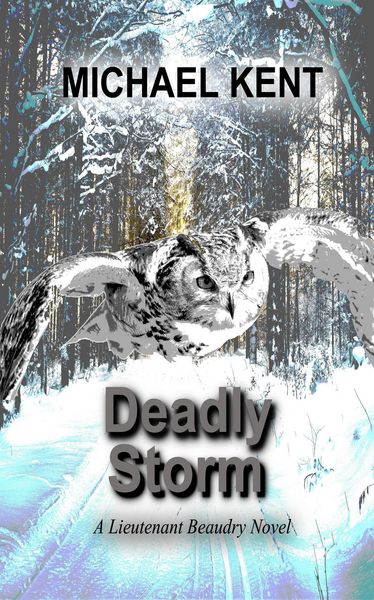 Produktbild: Deadly Storm (A Lieutenant Beaudry Novel)