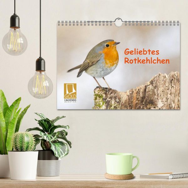 Produktbild: Geliebtes Rotkehlchen (Wandkalender 2026 DIN A4 quer), CALVENDO Monatskalender