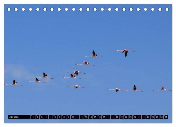 Produktbild: Faszination Sardinien (Tischkalender 2026 DIN A5 quer), CALVENDO Monatskalender