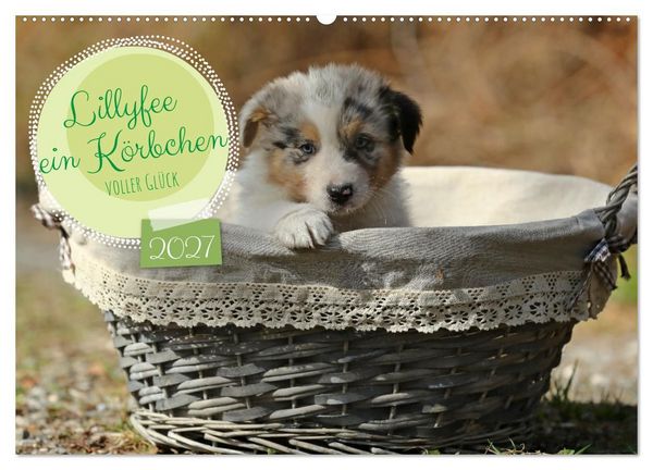 Produktbild: Lillyfee und ein K&ouml;rbchen voller Gl&uuml;ck (Wandkalender 2027 DIN A2 quer), CALVENDO Monatskalender