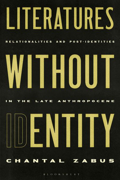 Produktbild: Literatures Without Identity