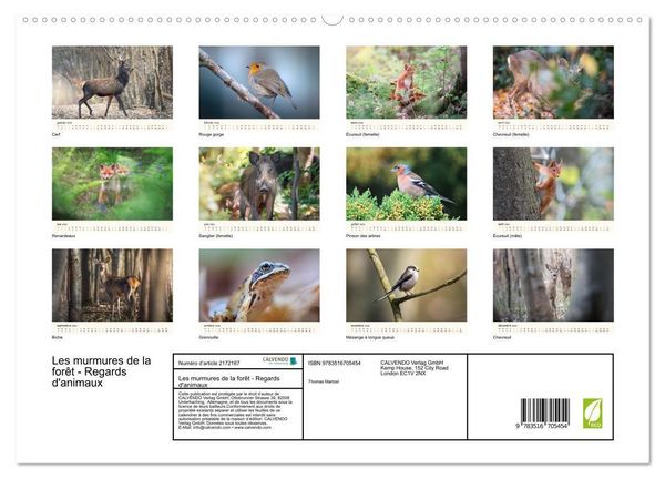 Produktbild: Les murmures de la for&ecirc;t - Regards d'animaux (Calendrier mural 2026 DIN A2 vertical) calendrier de bureau