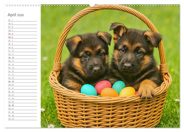 Produktbild: Sch&auml;ferhundliebe - Deine t&auml;gliche Dosis Welpenfreude &ndash; ganz ohne Gassi. (Wandkalender 2026 DIN A2 quer), CALVENDO Monatskalender
