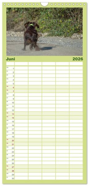 Produktbild: Familienplaner 2026 - Jagdhunde bei der Arbeit mit 5 Spalten (Wandkalender, 21 x 45 cm) CALVENDO