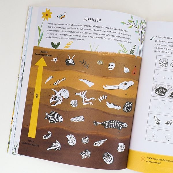 Produktbild: Evolution - Ein Mitmachbuch