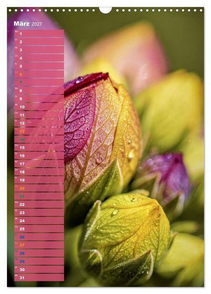 Produktbild: Bunte Farben der Natur (Wandkalender 2027 DIN A3 hoch), CALVENDO Monatskalender