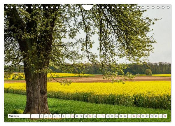 Produktbild: Die Wetterau - Landschaft und Kultur (Wandkalender 2026 DIN A4 quer), CALVENDO Monatskalender