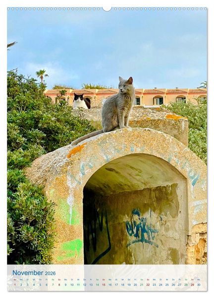 Produktbild: Geheimnisvolles Mallorca (hochwertiger Premium Wandkalender 2026 DIN A2 hoch), Kunstdruck in Hochglanz