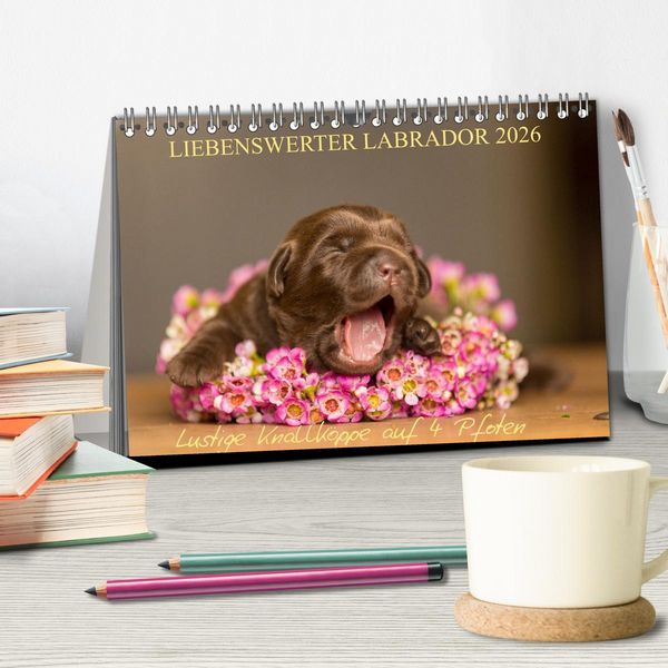 Produktbild: Liebenswerter Labrador 2026 (Tischkalender 2026 DIN A5 quer), CALVENDO Monatskalender