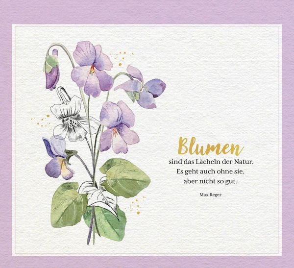 Produktbild: Kleine Wunder in meinem Garten