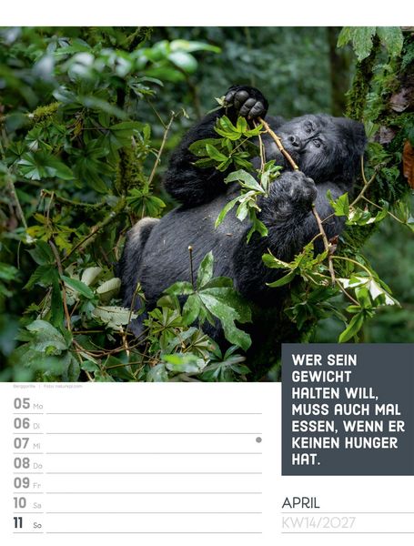 Produktbild: Tierisch Spr&uuml;chekalender Wochenplaner 2027