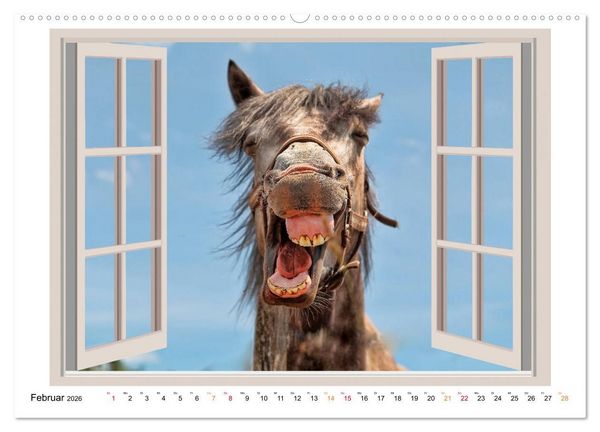 Produktbild: Fenstergucker - tierische Freunde an der Wand (Wandkalender 2026 DIN A2 quer), CALVENDO Monatskalender