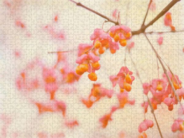 Produktbild: CALVENDO Puzzle Natursch&ouml;nheiten | 2000 Teile Lege-Gr&ouml;&szlig;e 90x67cm Foto-Puzzle f&uuml;r gl&uuml;ckliche Stunden