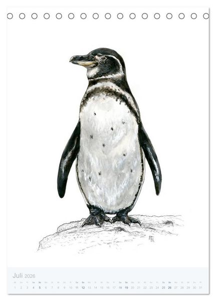 Produktbild: Pinguine - 13 Illustrationen (Tischkalender 2026 DIN A5 hoch), CALVENDO Monatskalender