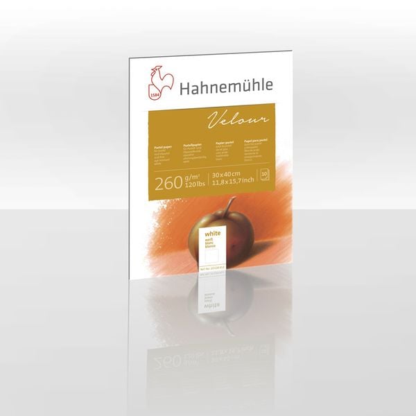 Produktbild: Hahnem&uuml;hle Papier Pastellpapier Velour, 30 x 40 cm, 260 g/m&sup2;