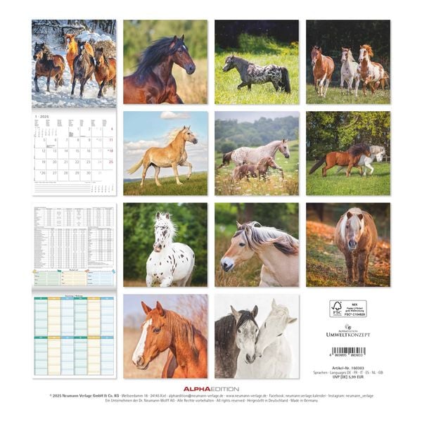 Produktbild: Pferde 2026 - Broschürenkalender 30x30 cm (30x60 geöffnet) - Kalender mit Platz für Notizen - Horses - Bildkalender - Wandplaner - Pferdekalender