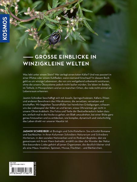 Produktbild: Im Schatten von Giganten