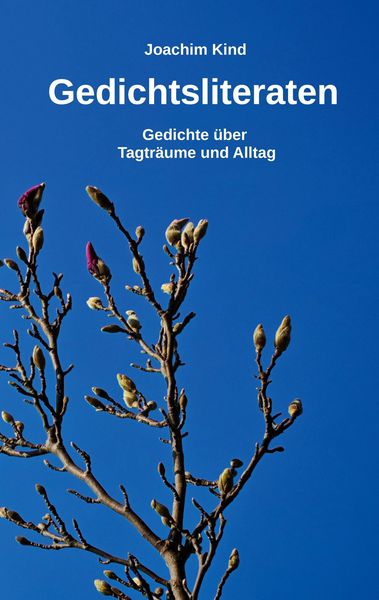 Produktbild: Gedichtsliteraten