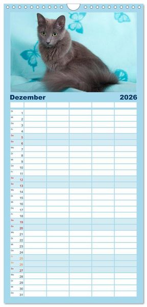 Produktbild: Familienplaner 2026 - Nebelung Katzen mit 5 Spalten (Wandkalender, 21 x 45 cm) CALVENDO