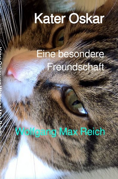 Produktbild: Kater Oskar