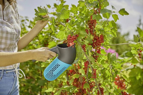 Produktbild: GARDENA combisystem Beerensammler 17400-20