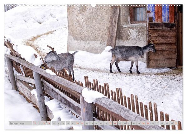 Produktbild: Bergell - Bergaglia (hochwertiger Premium Wandkalender 2026 DIN A2 quer), Kunstdruck in Hochglanz