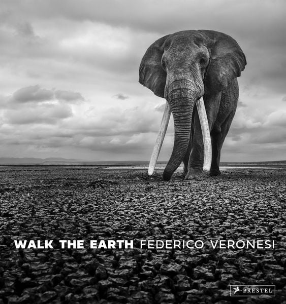 Walk the Earth, Gebundene Ausgabe von Federico Veronesi, Prestel, 978-3-7913-9391-9