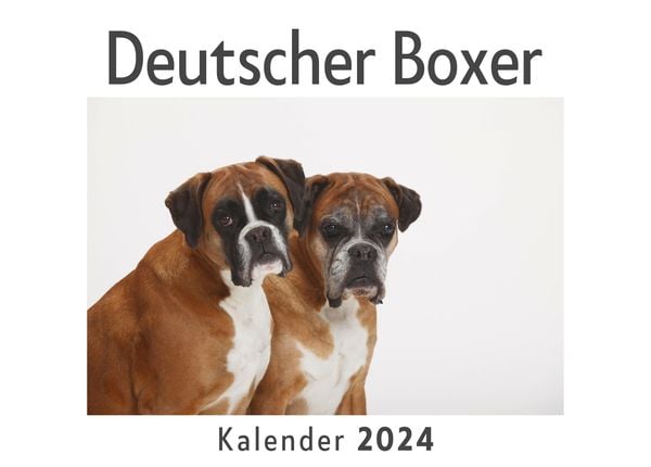 Produktbild: Deutscher Boxer (Wandkalender 2024, Kalender DIN A4 quer, Monatskalender im Querformat mit Kalendarium, Das perfekte Geschenk)