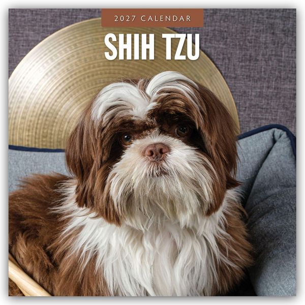 Produktbild: Shih Tzu 2027 &ndash; 16-Monatskalender