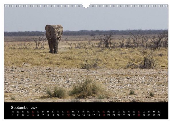 Produktbild: Wundersch&ouml;nes Namibia (Wandkalender 2027 DIN A3 quer), CALVENDO Monatskalender