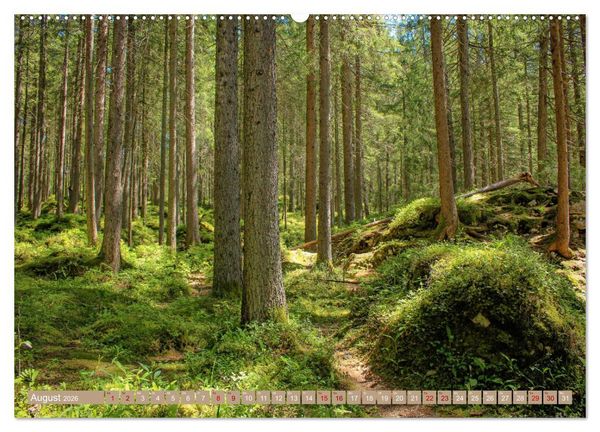 Produktbild: Der Wald - Ort der Ruhe und Besinnung (Wandkalender 2026 DIN A2 quer), CALVENDO Monatskalender
