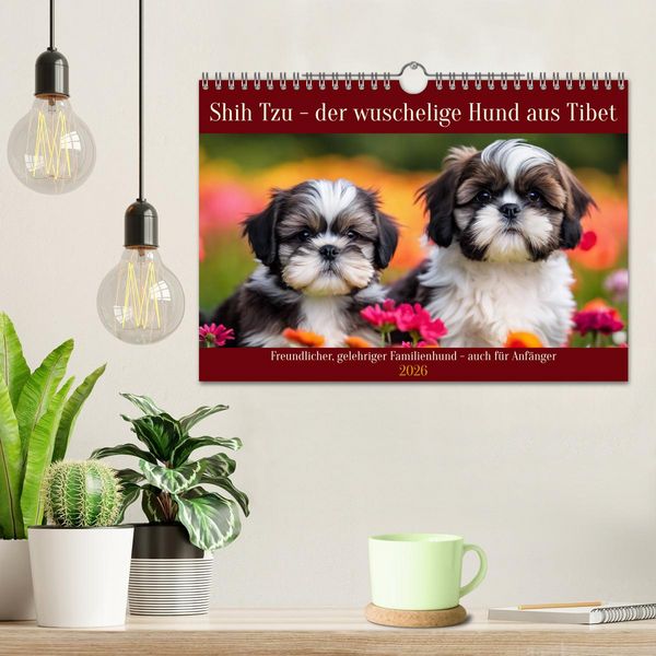 Produktbild: Shih Tzu - der wuschelige Hund aus Tibet (Wandkalender 2026 DIN A4 quer), CALVENDO Monatskalender