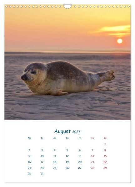 Produktbild: K&uuml;stenmomente des Jahres (Wandkalender 2027 DIN A3 hoch), CALVENDO Monatskalender