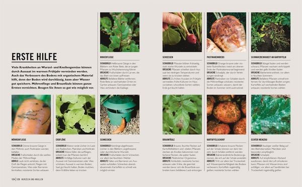 Produktbild: Gr&uuml;nes Gartenwissen. Gem&uuml;se anbauen