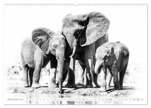 Produktbild: AFRIKA - Schwarz-weiss Fotografien im modernen "High Key" Look (Wandkalender 2026 DIN A2 quer), CALVENDO Monatskalender