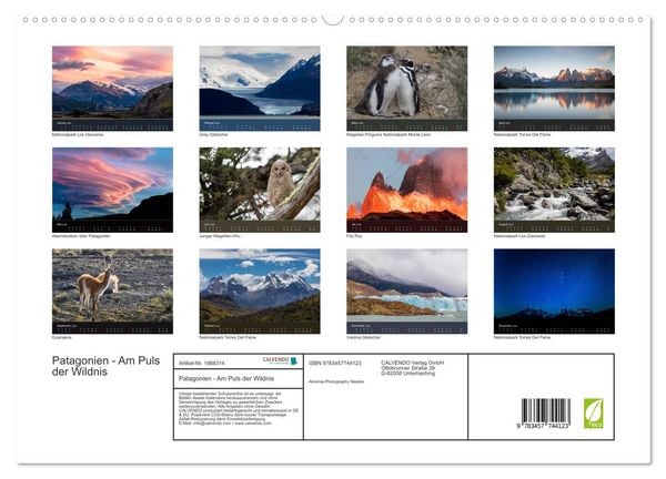 Produktbild: Patagonien - Am Puls der Wildnis (hochwertiger Premium Wandkalender 2026 DIN A2 quer), Kunstdruck in Hochglanz