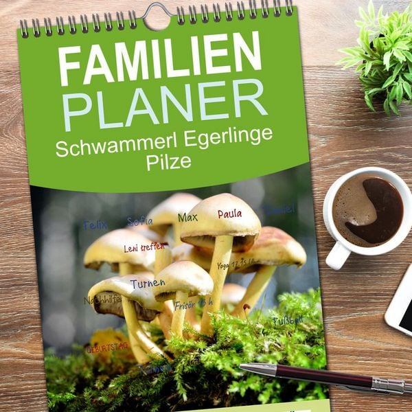 Produktbild: Familienplaner 2026 - Schwammerl Egerlinge Pilze mit 5 Spalten (Wandkalender, 21 x 45 cm) CALVENDO