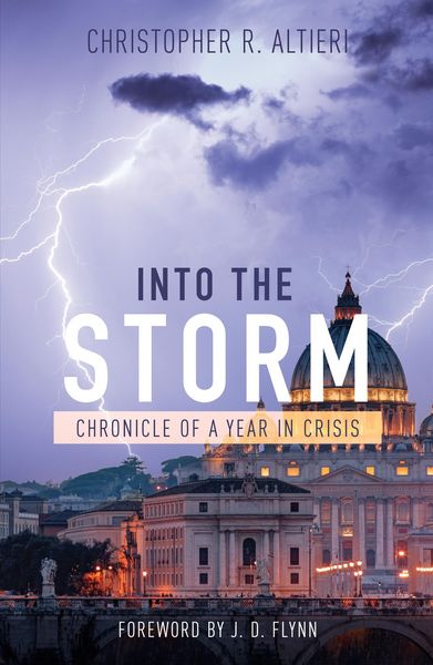 Produktbild: Into the Storm