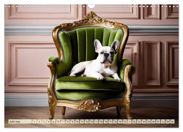 Produktbild: Kleine K&ouml;nige - Franz&ouml;sische Bulldoggen (Wandkalender 2026 DIN A3 quer), CALVENDO Monatskalender