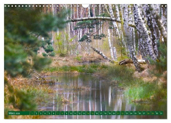 Produktbild: Der Loben. Im Reich der Moorgeister und Kreuzottern- S&uuml;dbrandenburgs letztes gro&szlig;es Moor (Wandkalender 2026 DIN A3 quer), CALVENDO Monatskalender
