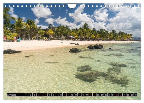 Produktbild: Maurice - l'Oc&eacute;an Indien (Calendrier mural 2026 DIN A4 vertical), CALVENDO calendrier mensuel