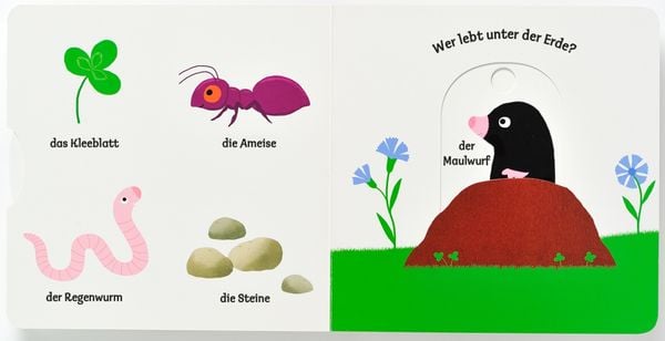 Produktbild: Mein Regenbogenfisch Badebuch