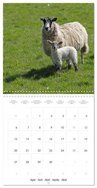 Produktbild: The Cotswolds - Idyllic part of England (Wall Calendar 2026 12 &times; 12 Inch) CALVENDO 12 Month Wall Calendar