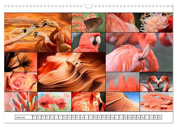 Produktbild: Colour Symphonies of the Earth (Wall Calendar 2026 DIN A3 landscape), CALVENDO 12 Month Wall Calendar
