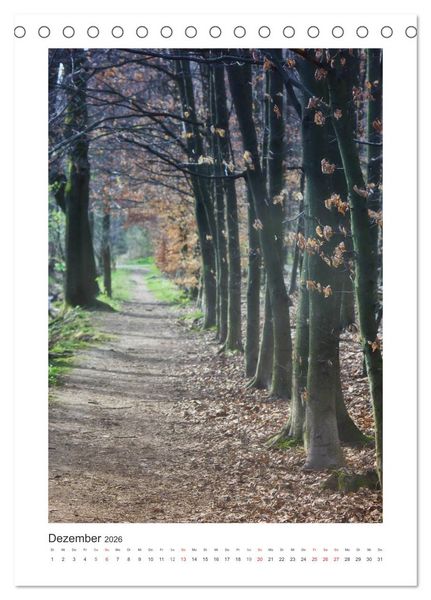 Produktbild: Impressionen aus unserem Wald (Tischkalender 2026 DIN A5 hoch), CALVENDO Monatskalender